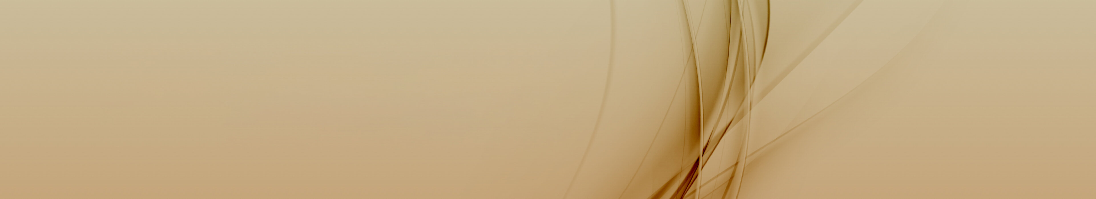 Beiges Header-Bild, symbolisiert Professionalität und Weiterbildung bei der Management School St. Gallen.