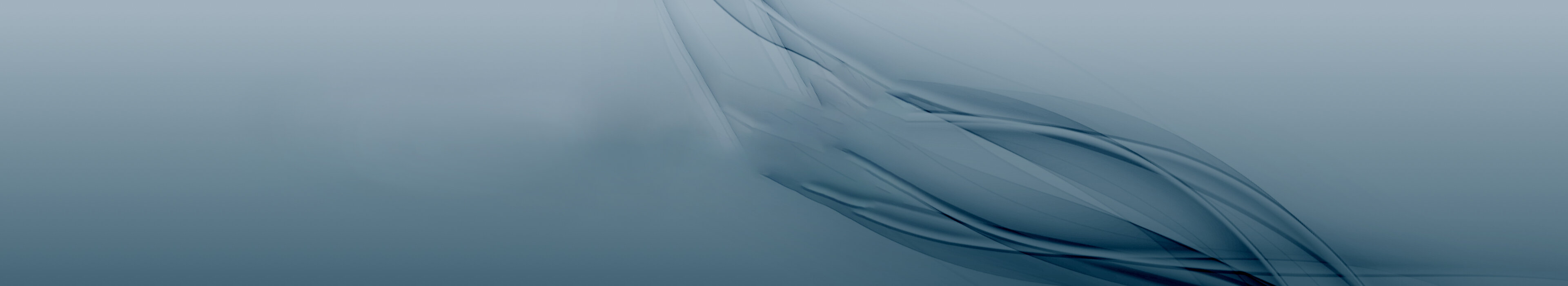 Blaues Header-Bild, symbolisiert Professionalität und Weiterbildung bei der Management School St. Gallen.