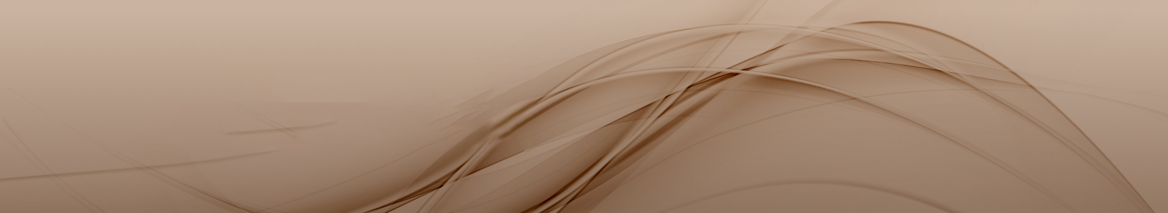 Bronze Header-Bild, symbolisiert Professionalität und Weiterbildung bei der Management School St. Gallen.