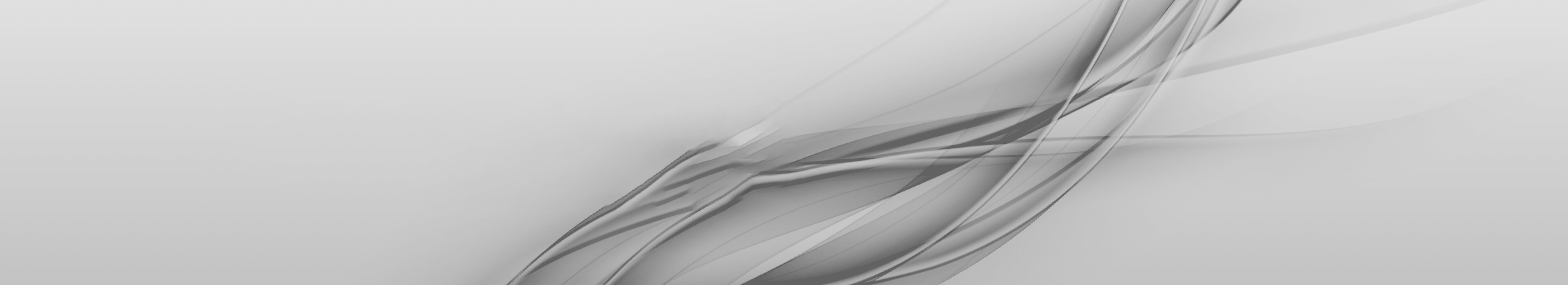 Hellgraues Header-Bild, symbolisiert Professionalität und Weiterbildung bei der Management School St. Gallen.