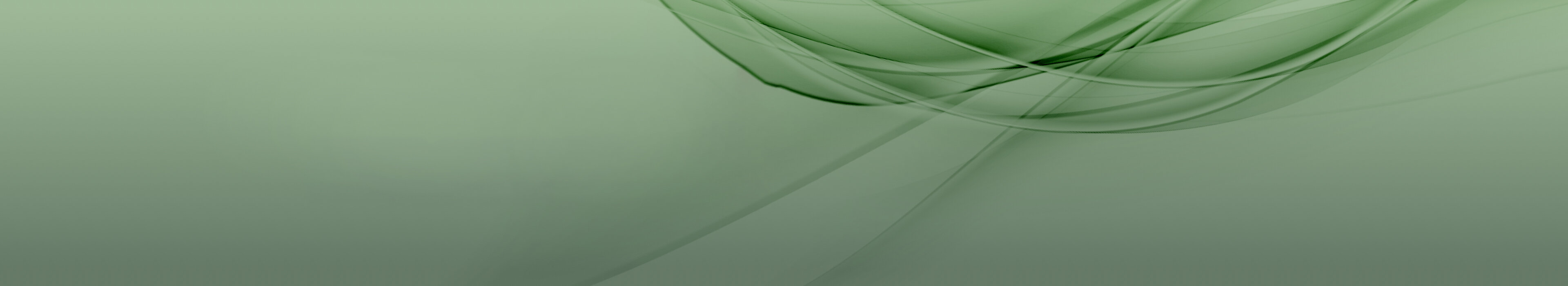 Grünes Header-Bild, symbolisiert Professionalität und Weiterbildung bei der Management School St. Gallen.