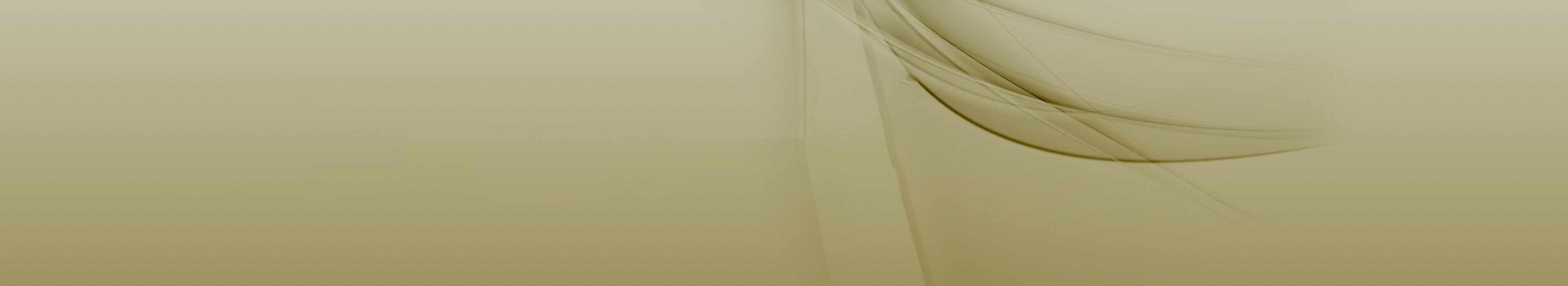 Grüngelbes Header-Bild, symbolisiert Professionalität und Weiterbildung bei der Management School St. Gallen.