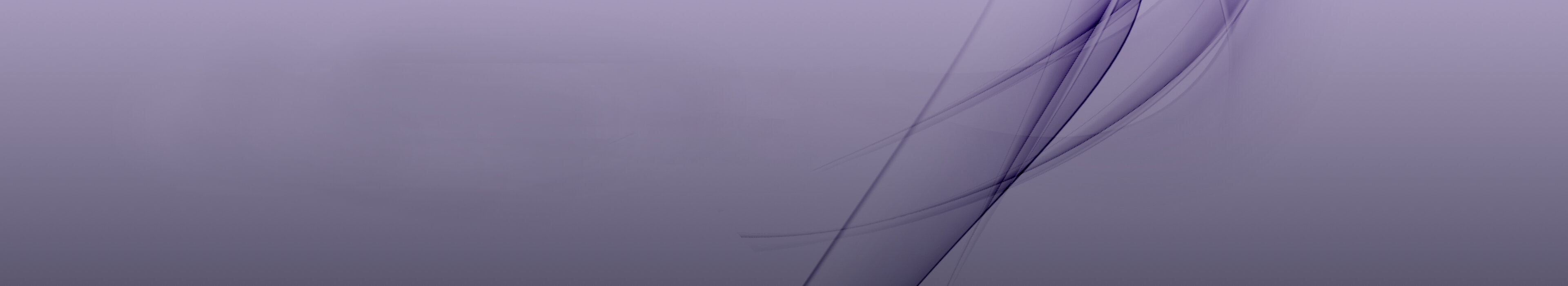 Lila Header-Bild, symbolisiert Professionalität und Weiterbildung bei der Management School St. Gallen.