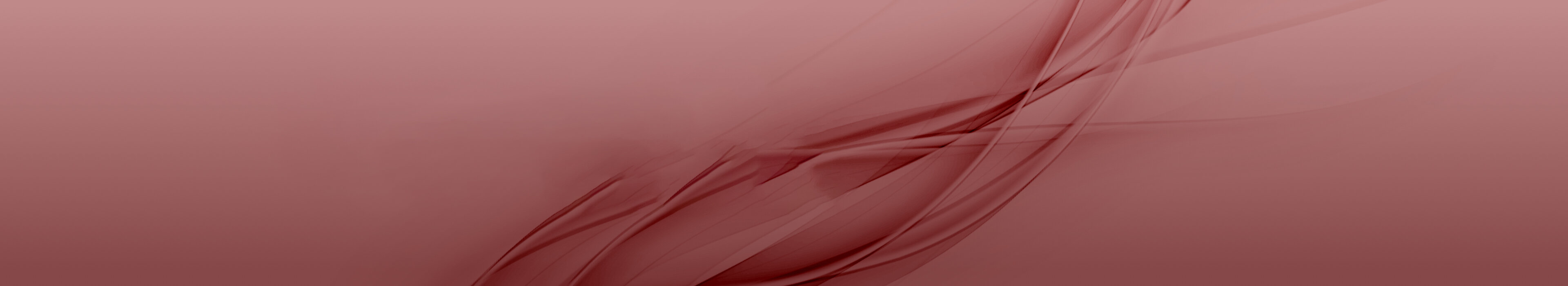 Rotes Header-Bild, symbolisiert Professionalität und Weiterbildung bei der Management School St. Gallen.