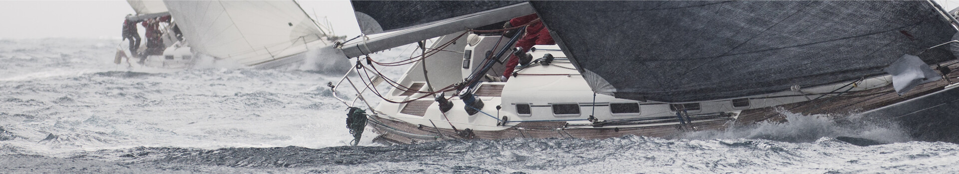 Headerbild des Impulstages und der firmeninternen Impulse & Keynotes «Organisationen entwickeln und stabilisieren» der Management School St.Gallen.