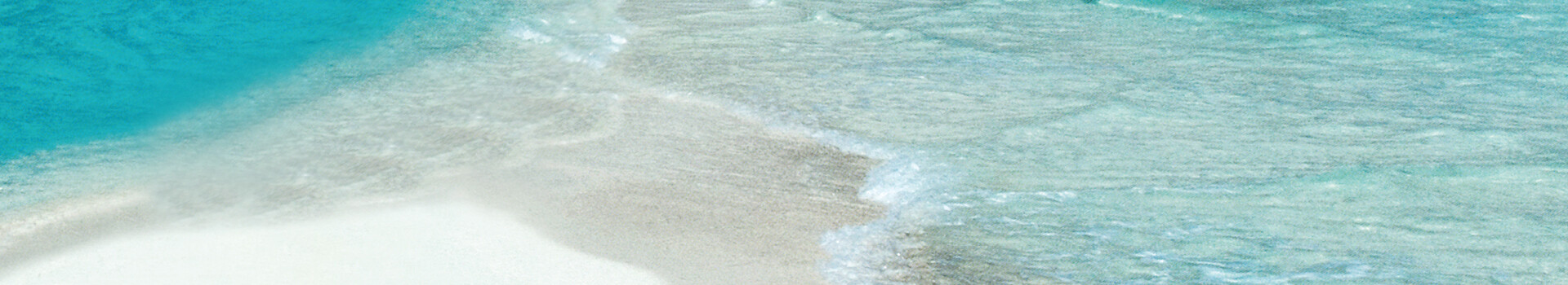 Headerbild des Impulstages und der firmeninternen Impulse & Keynotes «Blue Ocean Leadership» der Management School St.Gallen.