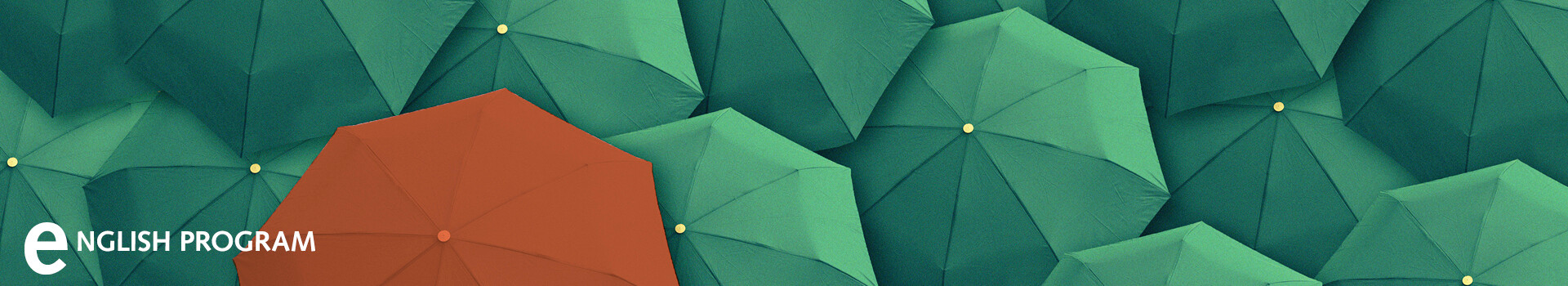 Header image of the in-house Leadership Development Program «Global Development Program | English» of the Management School St.Gallen.