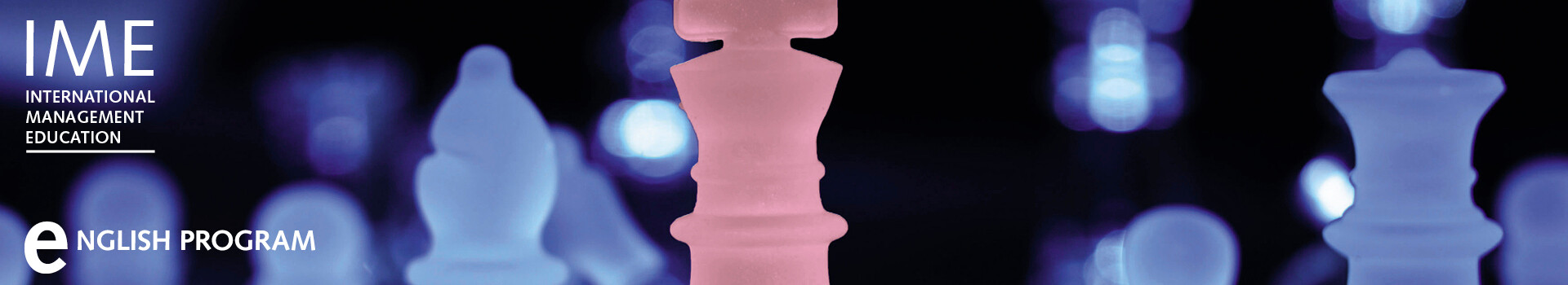 Header image of the in-house Leadership Development Program «St.Gallen’s Project Management Program I English» of the Management School St.Gallen.