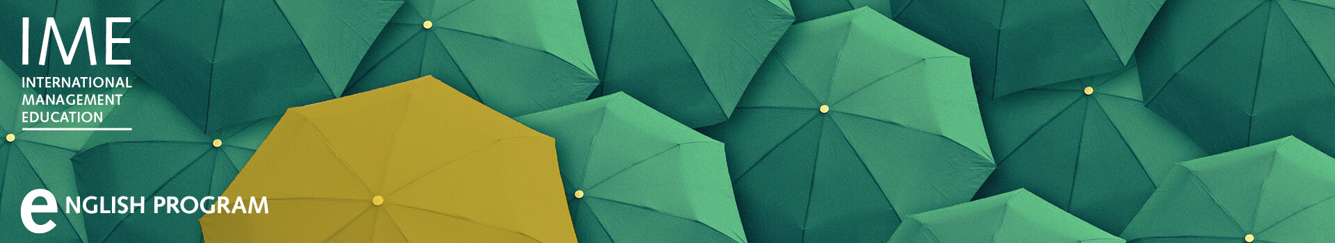 Header image of the in-house Leadership Development Program «St.Gallen's Executive Leadership Program I English» of the Management School St.Gallen.