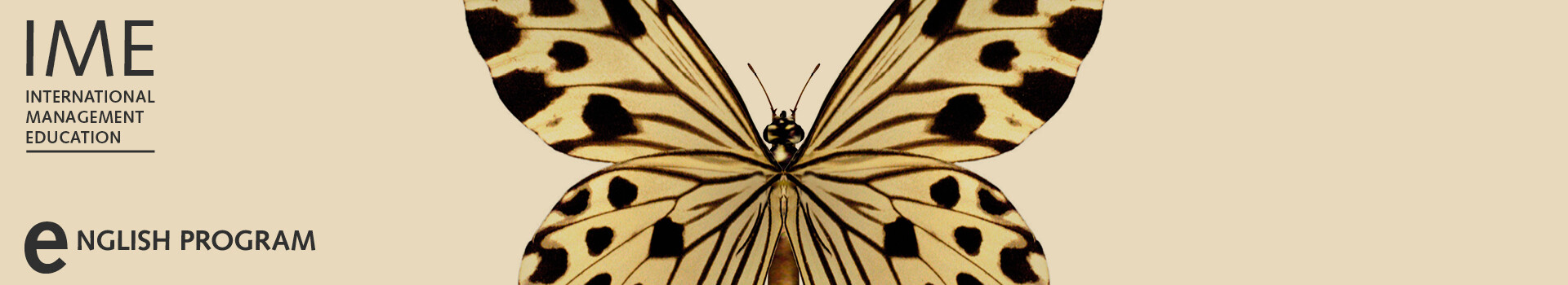 Header image of the in-house Leadership Development Program «TRANSFORM! Leadership Program I English» of the Management School St.Gallen.