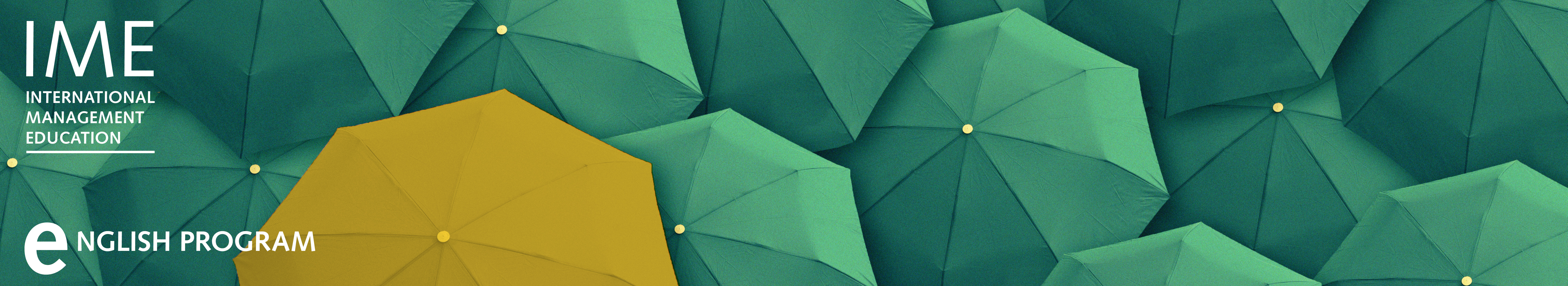 Header image of the in-house Leadership Development Program «St.Gallen's High Potential Program I English» of the Management School St.Gallen.