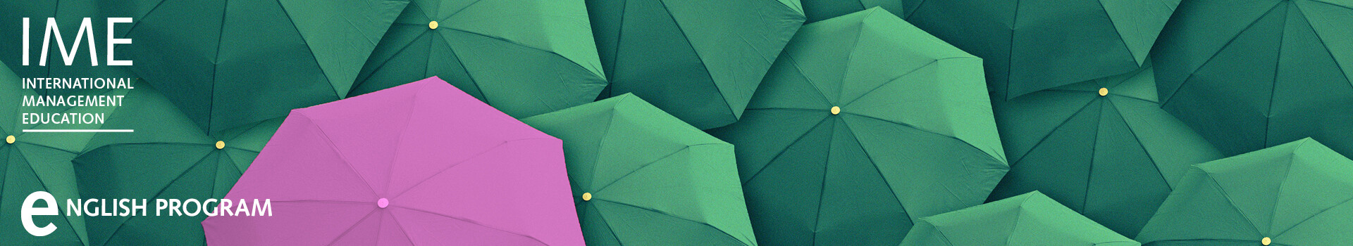 Header image of the in-house Leadership Development Program «Select your Own Development Program I English» of the Management School St.Gallen.