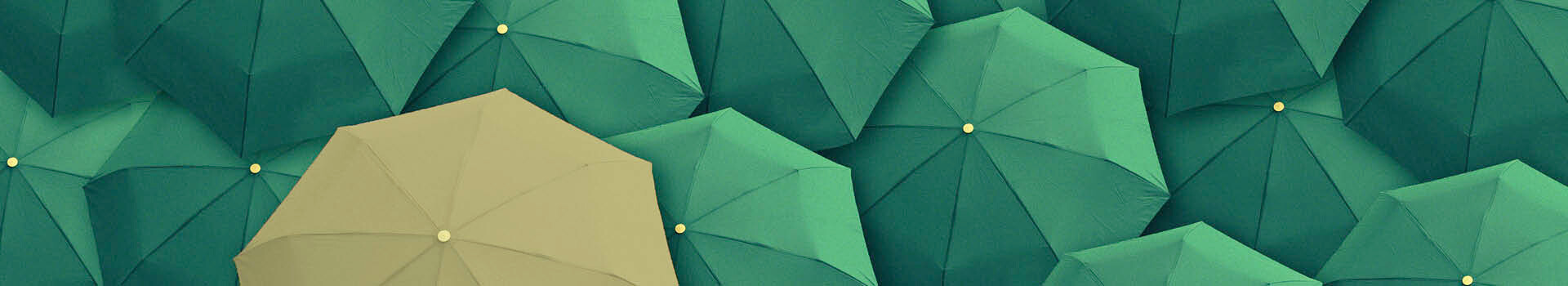 Headerbild des firmeninternen Leadership Development Programs «St.Galler Executive Leadership Program» der Management School St.Gallen.