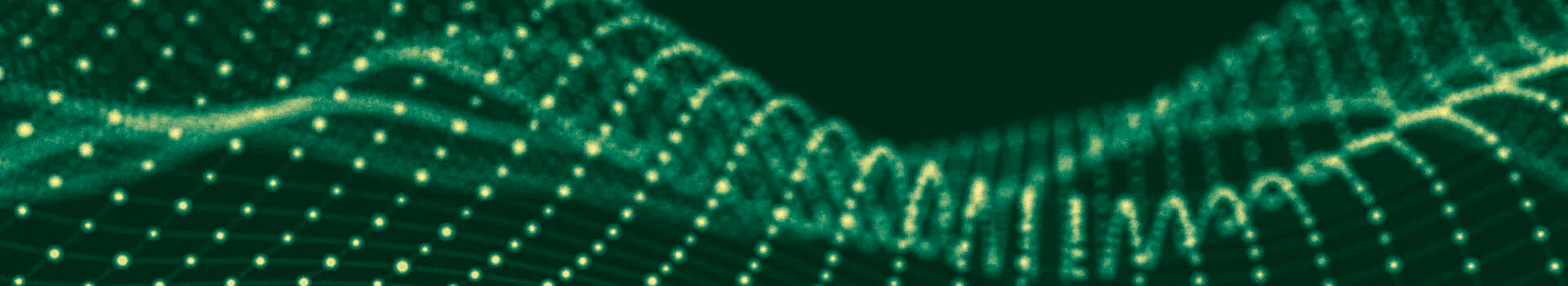 Headerbild des firmeninternen Leadership Development Programs «Leadership & Transformation Program» der Management School St.Gallen.