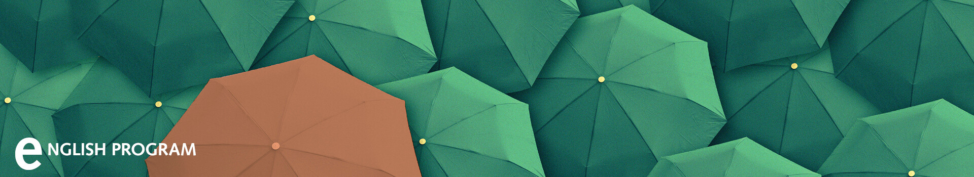 Header image of the in-house seminar «Intercultural Leadership | English» of the Management School St.Gallen.