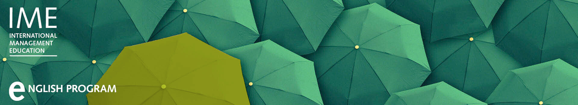 Header image of the seminar and the in-house seminar «Executive Leadership | English» of the Management School St.Gallen.