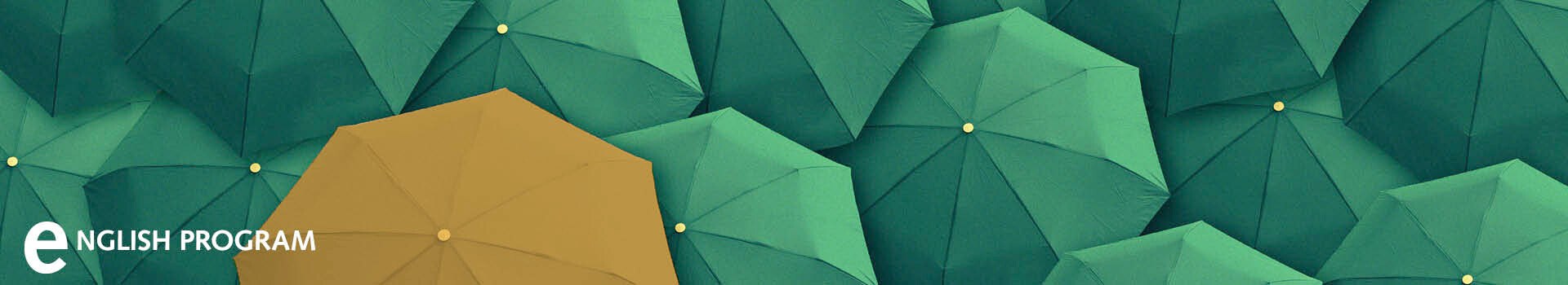 Header image of the seminar and the in-house seminar «Advanced Leadership | English» of the Management School St.Gallen.