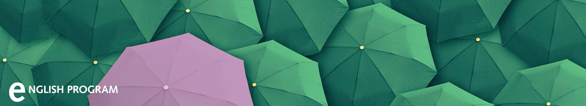 Header image of the in-house seminar «Negotiation Principles of St.Gallen | English» of the Management School St.Gallen.