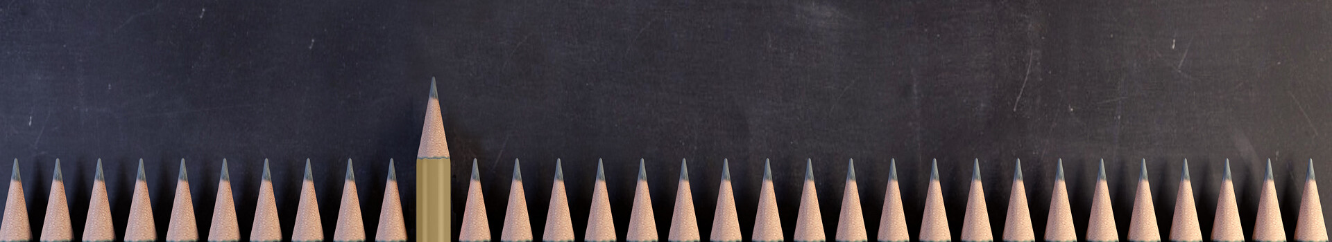 Headerbild des firmeninternen Seminars «Rhetorik und Kommunikation für Führungskräfte» der Management School St.Gallen.