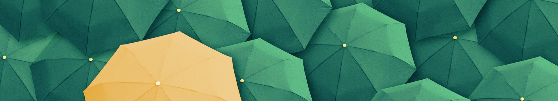 Headerbild des Seminars und des firmeninternen Seminars «Agil in Gesprächen und Konflikten» der Management School St.Gallen.