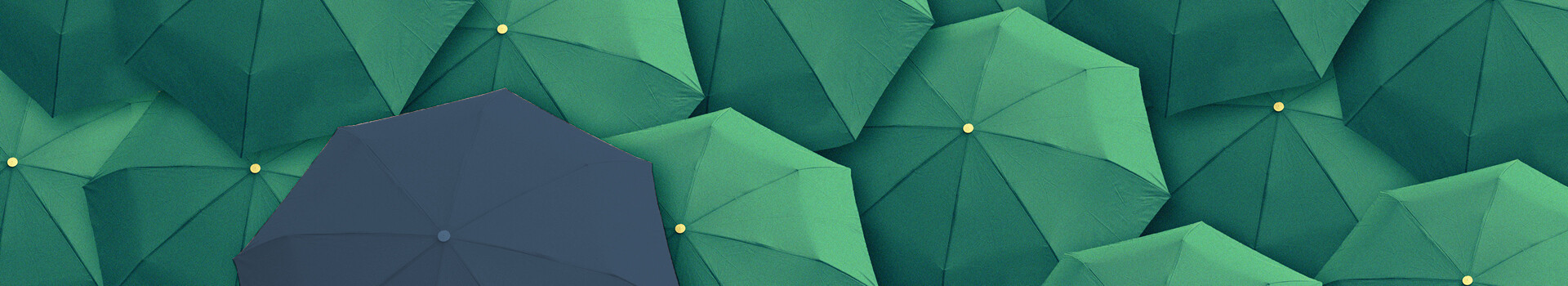 Headerbild des firmeninternen Seminars «Lead like a pilot» der Management School St.Gallen.