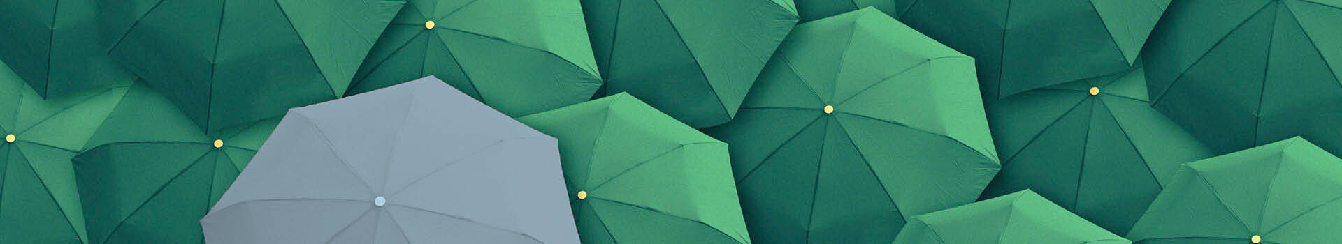 Headerbild des firmeninternen Seminars «Meetings und Workshops moderieren» der Management School St.Gallen.