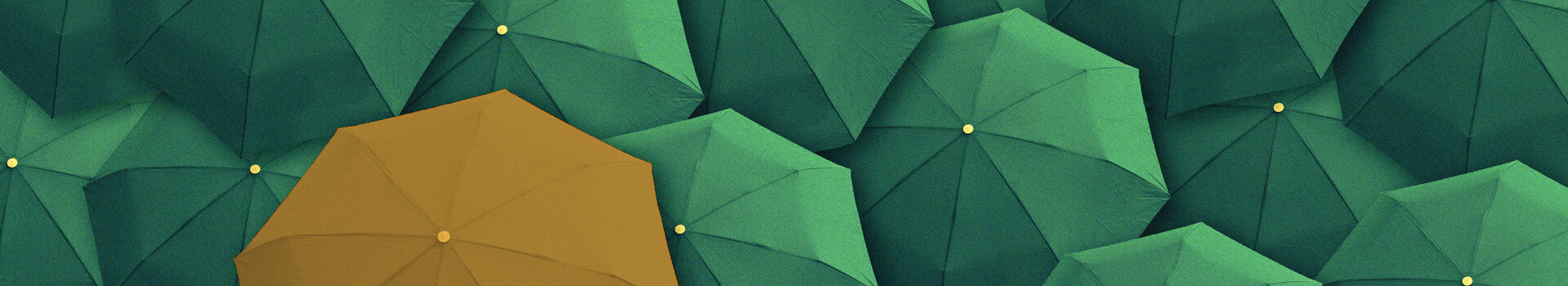 Headerbild des Seminars und des firmeninternen Seminars «Advanced Leadership» der Management School St.Gallen.