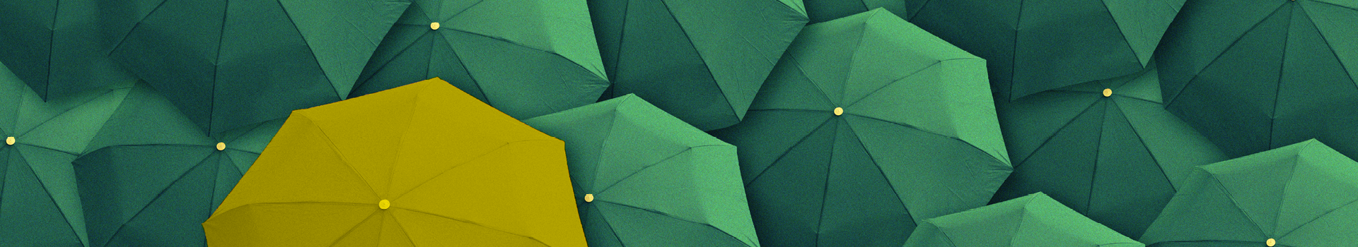 Headerbild des Seminars und des firmeninternen Seminars «Führen, Inspirieren, Leisten: Managerial Effectiveness» der Management School St.Gallen.