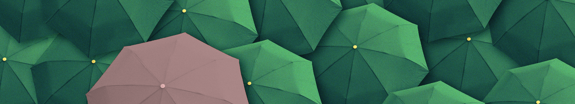 Headerbild des Seminars und des firmeninternen Seminars «First Leadership» der Management School St.Gallen.