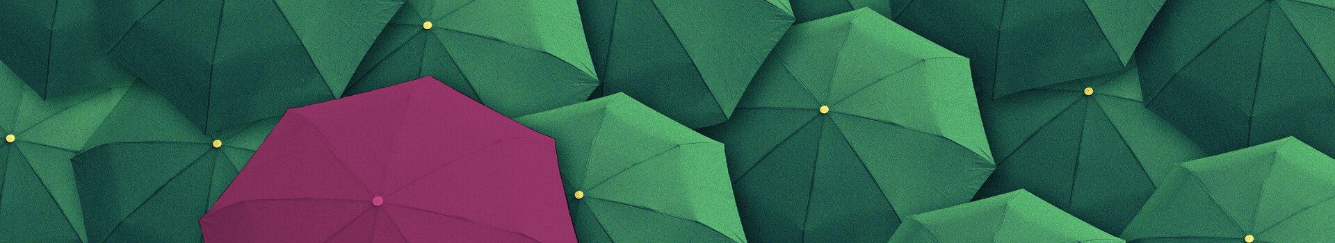 Headerbild des Seminars und des firmeninternen Seminars «Führen, Inspirieren, Motivieren» der Management School St.Gallen.