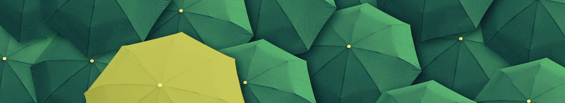 Headerbild des Seminars und des firmeninternen Seminars «Leadership made in St.Gallen» der Management School St.Gallen.