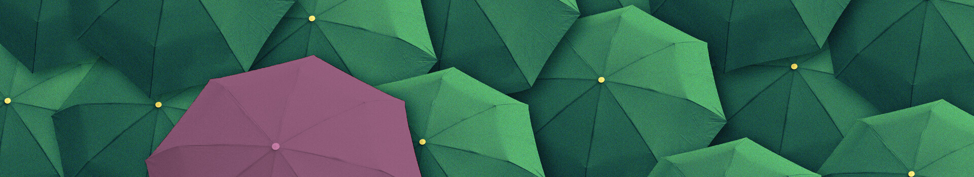 Headerbild des Seminars und des firmeninternen Seminars « Konfliktmanagement» der Management School St.Gallen.