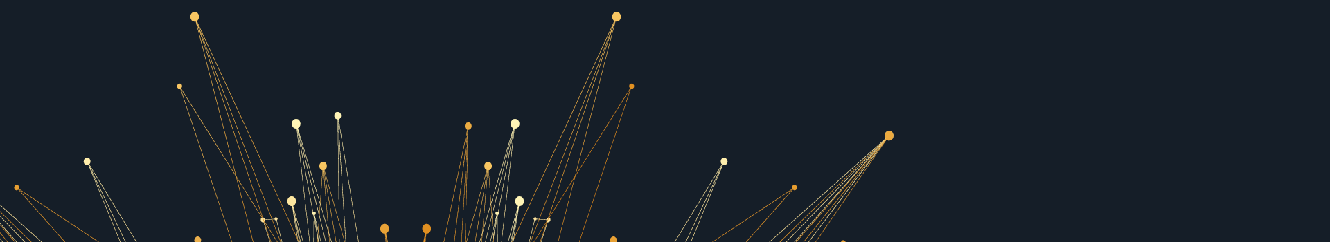 Headerbild des firmeninternen Seminars «Business Transformation» der Management School St.Gallen.
