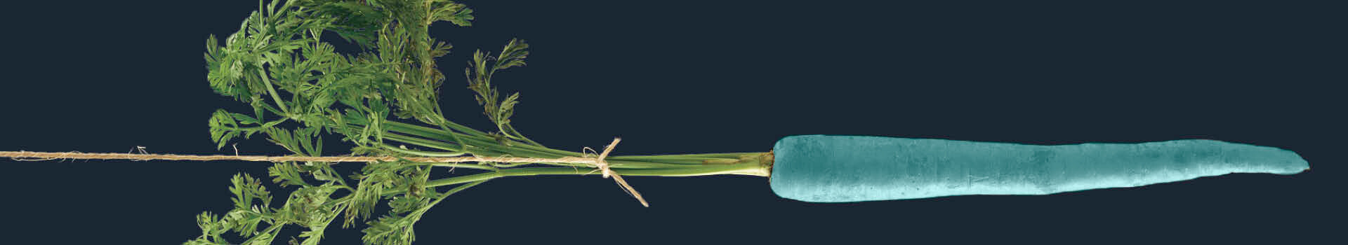 Headerbild des firmeninternen Seminars «Verkaufsverhandlungen erfolgreich führen» der Management School St.Gallen.